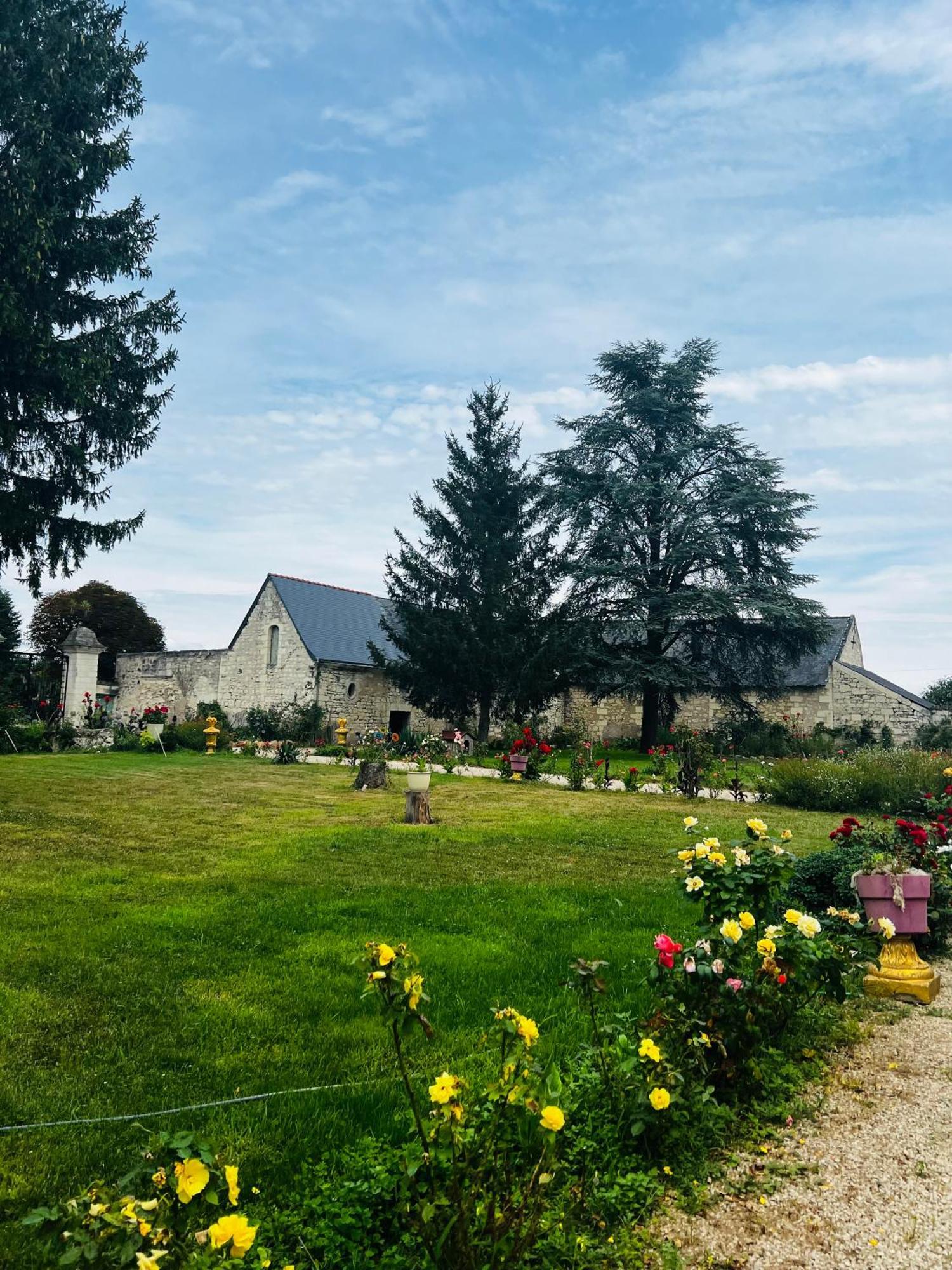 Chateau De La Thibaudiere - Chambre Du Tonneau Allonnes  外观 照片